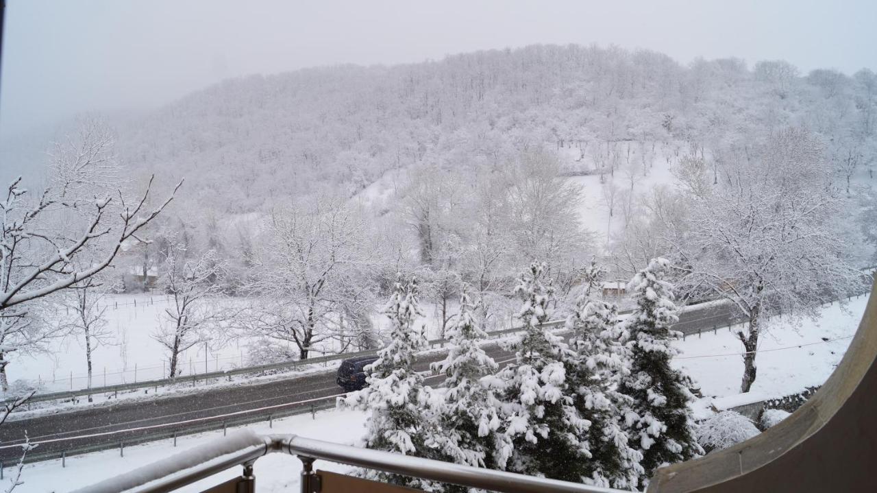 Gabala Yeddi Gozel Hotel Eksteriør bilde
