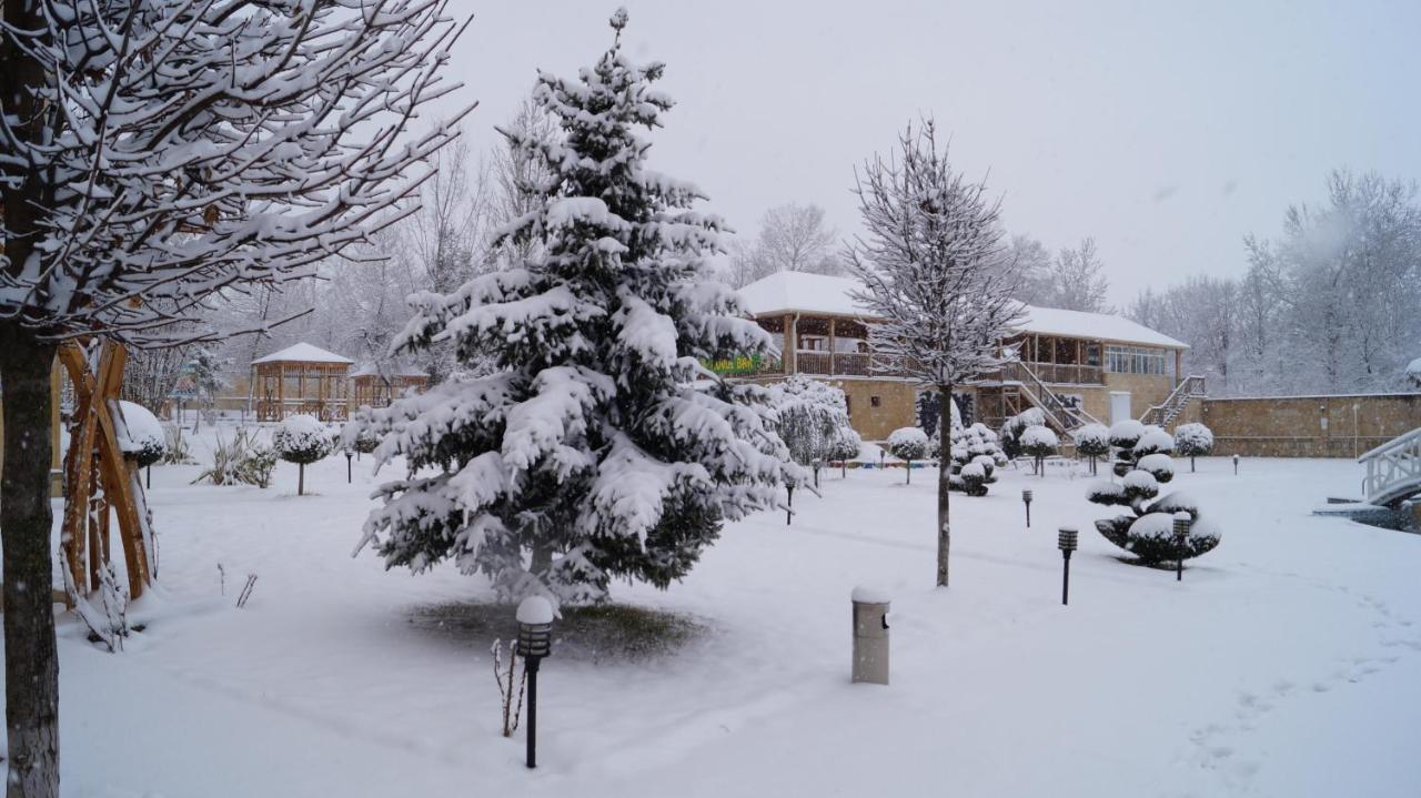 Gabala Yeddi Gozel Hotel Eksteriør bilde