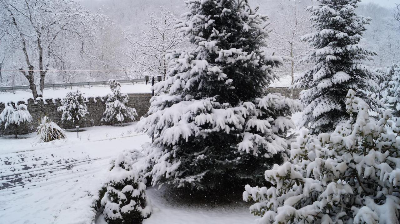 Gabala Yeddi Gozel Hotel Eksteriør bilde